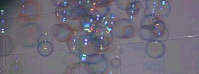 岡  田   ㌔さんの壁紙画像