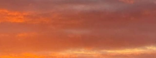 コブミカンさんの壁紙画像