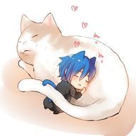 アムさんのアイコン画像