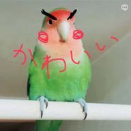 あさみさんのアイコン画像