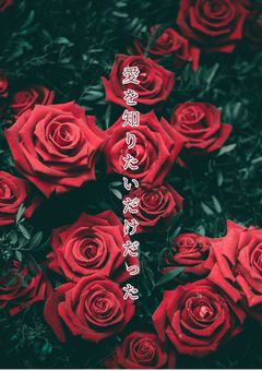 愛を知りたいだけだった