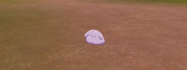 ピヨンセさんの壁紙画像