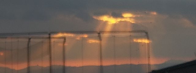 しろのあーるさんの壁紙画像