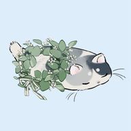 メイトさんのアイコン画像