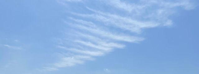 終点さんの壁紙画像