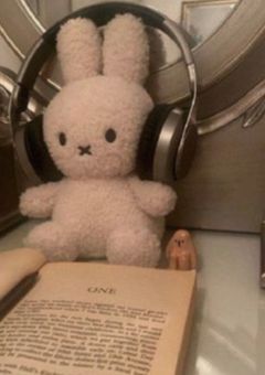 宣伝とかだよ〜