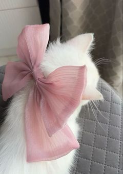 宣伝とかだよ〜