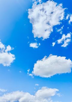 高専の狼は護衛に向かう