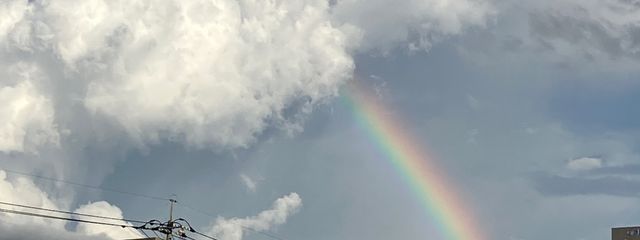 りるるさんの壁紙画像