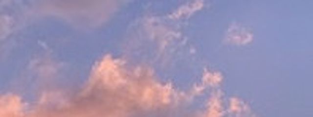 elさんの壁紙画像