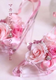 マカロンアニメコウゴウBL