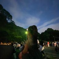 しおんさんのアイコン画像