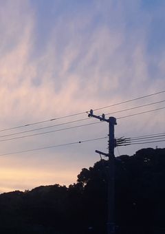 僕ら、放課後小説部は夜の街から＿。