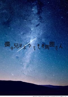 僕の兄はとってもお馬鹿さん!