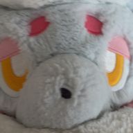 如月さんのアイコン画像