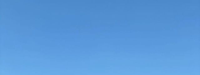 桜さんの壁紙画像