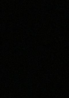 ｢真夜中クラブ｣