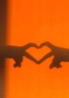 橙 受 け 固 定 の 妄 想