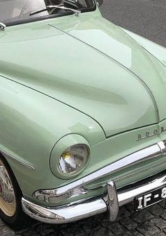 緑 受 け 固 定 の 妄 想