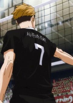 稲荷崎の愛されっ子はチア部のエースでした