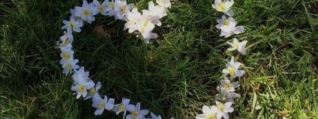 Nazunaさんの壁紙画像