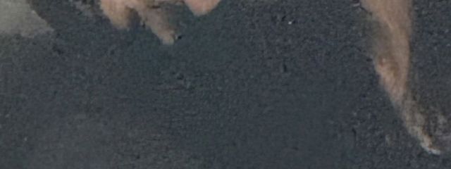 奈さんの壁紙画像