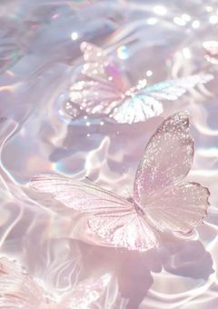 酔無派閥🥂🫧