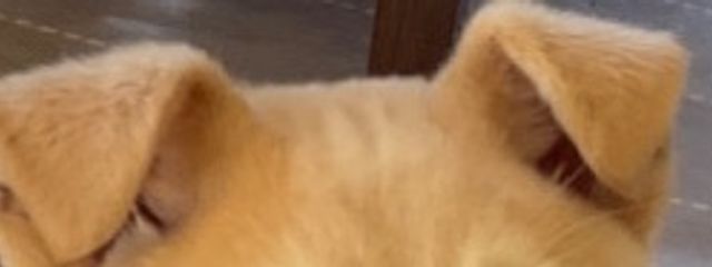 アオさんの壁紙画像