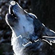 ︎ ︎ ︎ ︎ ︎ ︎ ︎ ︎ ︎ ︎ ︎ ︎ ︎  ︎ ︎さんのアイコン画像