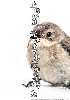 上鳴の姉、元ポトマ現情報屋だった