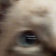 ゐさけさんのアイコン画像