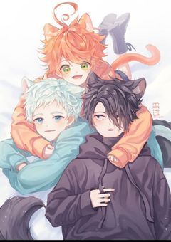 約束のネバーランド(夢小説)