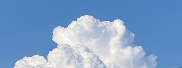ルリナさんの壁紙画像