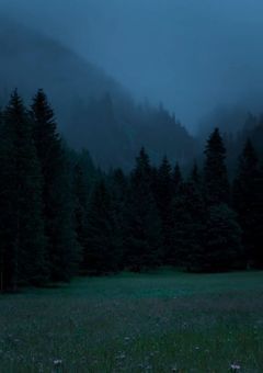  ウソの鬼は信じたい 。【sxxn】