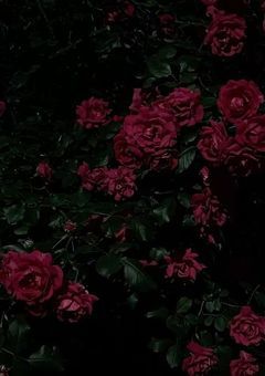 赤組には天使がいます。