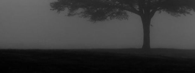 RDookさんの壁紙画像