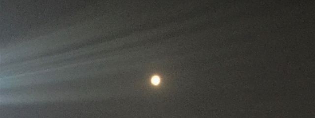 らいさんの壁紙画像