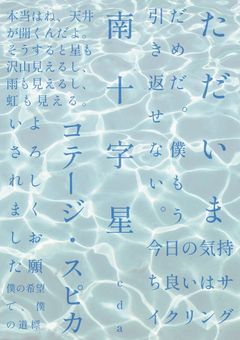   南 十 字 星 