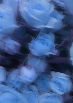 それでも 貴方 の 傍 に 居たい 。