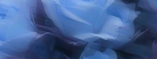 くろねこ。さんの壁紙画像