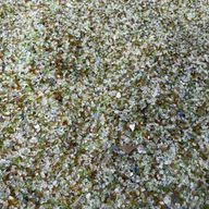 gomamisoさんのアイコン画像