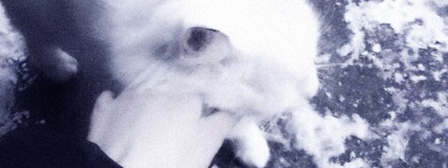 田中さんの壁紙画像