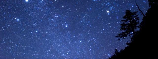 😶‍🌫️さんの壁紙画像