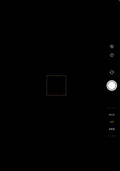 [ nyong’s daily life ]