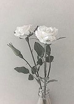 何で嫌われなきゃいけないんですか？