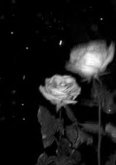 晒し配信者の私は…