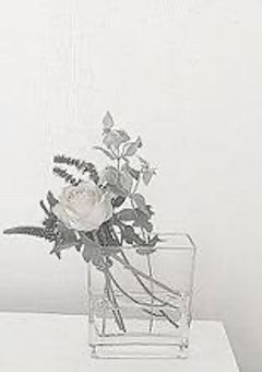 ある日、メンバーの紅一点になってました