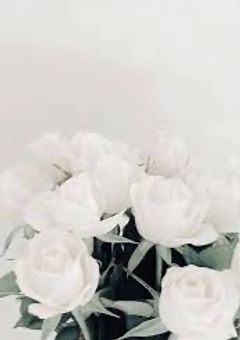 美咲ナンバーワン