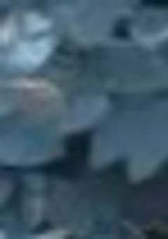 恋愛しちゃいました