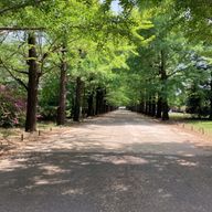 Laileさんのアイコン画像